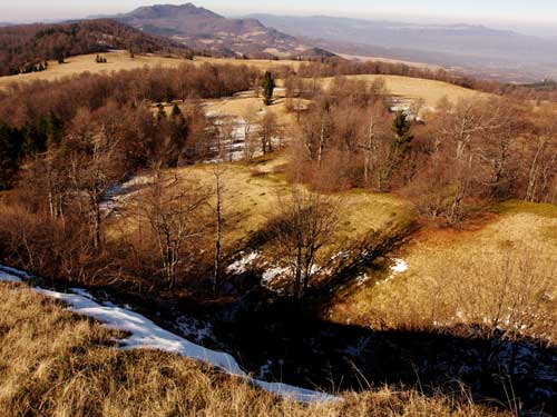 Foto Poiana Prisaca, Gutaiul, Piatra Totosului (c) Petru Goja